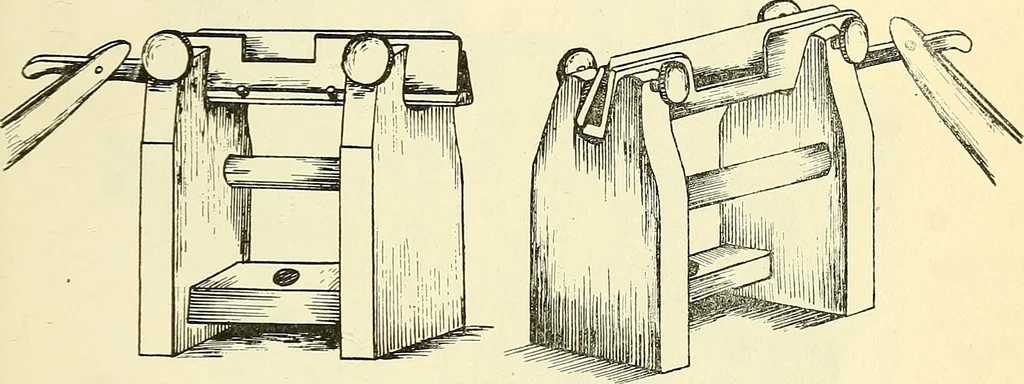 An illustration from The microscope; an introduction to microscopic methods and to histology, 1901, leaf 294