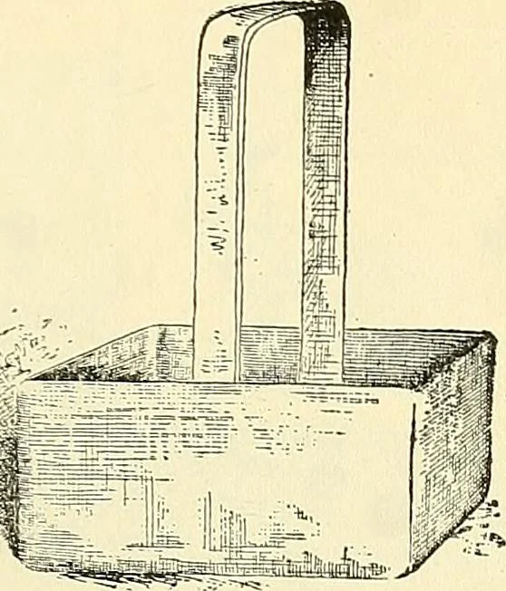 An illustration from The microscope; an introduction to microscopic methods and to histology, 1901, leaf 296