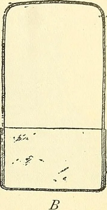 An illustration from The microscope; an introduction to microscopic methods and to histology, 1901, leaf 296