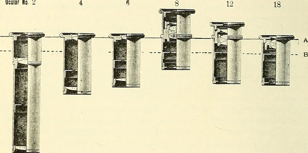 An illustration from The microscope; an introduction to microscopic methods and to histology, 1901, leaf 39