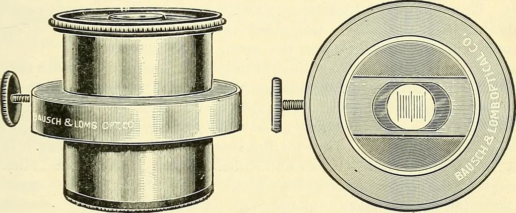 An illustration from The microscope; an introduction to microscopic methods and to histology, 1901, leaf 40