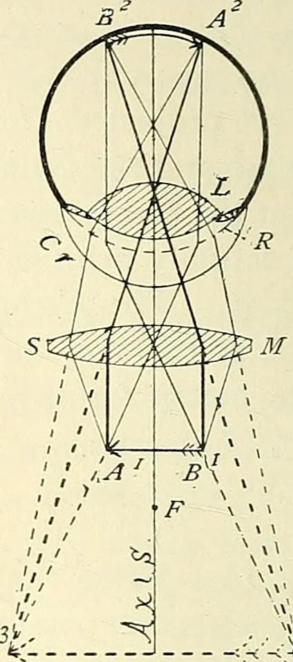 An illustration from The microscope; an introduction to microscopic methods and to histology, 1901, leaf 47