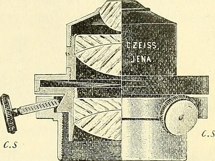 An illustration from The microscope; an introduction to microscopic methods and to histology, 1901, leaf 58