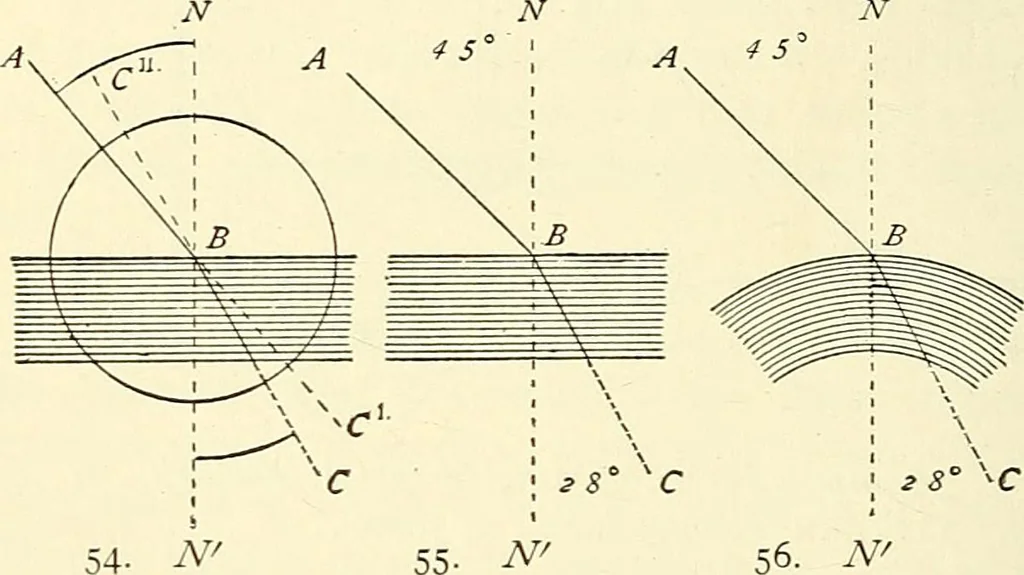 An illustration from The microscope; an introduction to microscopic methods and to histology, 1901, leaf 67