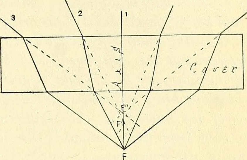 An illustration from The microscope; an introduction to microscopic methods and to histology, 1901, leaf 70
