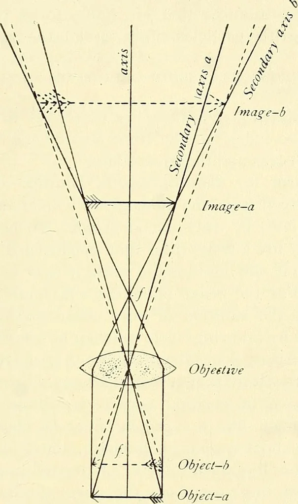 An illustration from The microscope; an introduction to microscopic methods and to histology, 1901, leaf 72