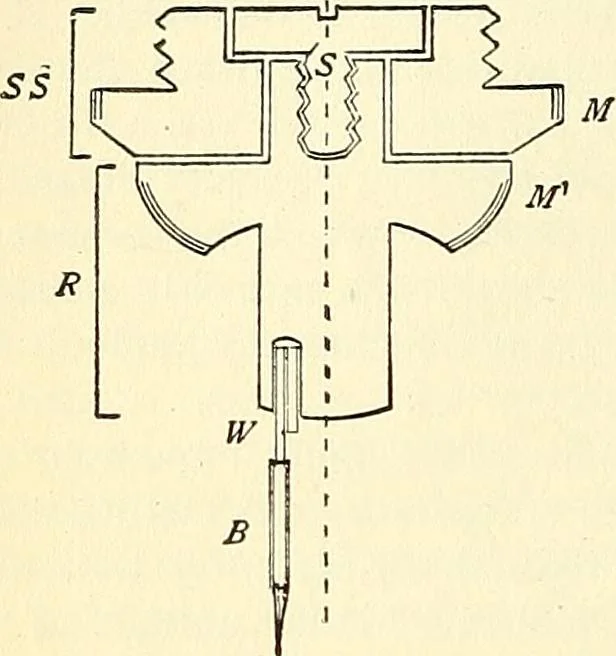 An illustration from The microscope; an introduction to microscopic methods and to histology, 1901, leaf 81