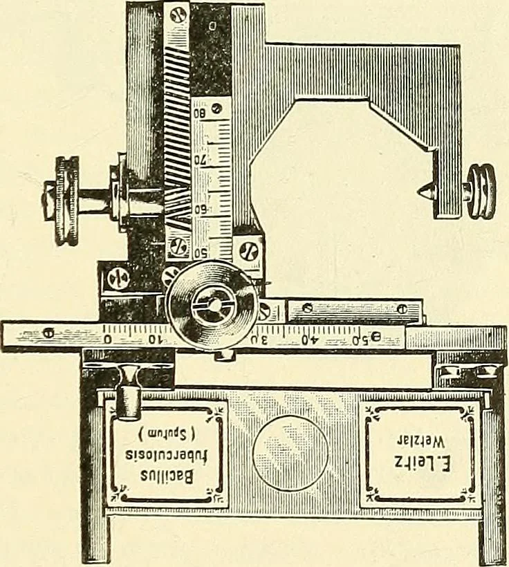 An illustration from The microscope; an introduction to microscopic methods and to histology, 1901, leaf 84