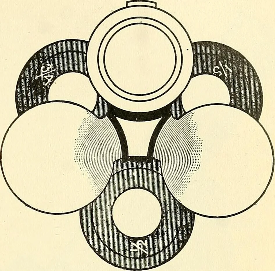 An illustration from The microscope; an introduction to microscopic methods and to histology, 1901, leaf 86