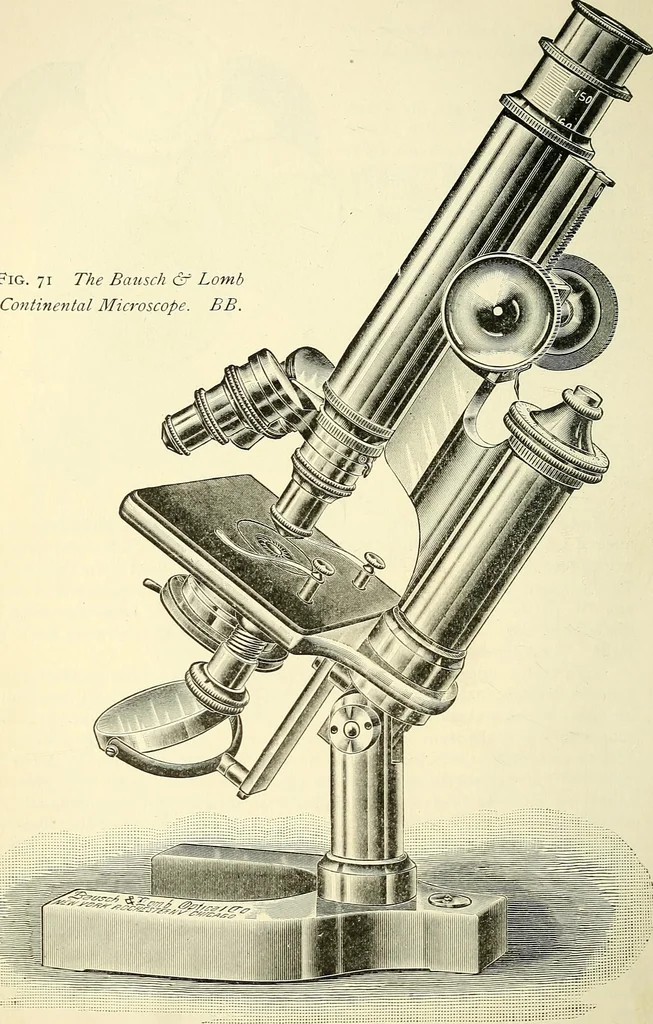 An illustration from The microscope; an introduction to microscopic methods and to histology, 1901, leaf 87