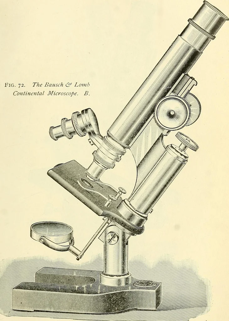 An illustration from The microscope; an introduction to microscopic methods and to histology, 1901, leaf 88