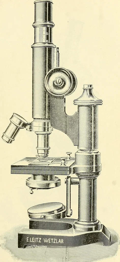 An illustration from The microscope; an introduction to microscopic methods and to histology, 1901, leaf 92