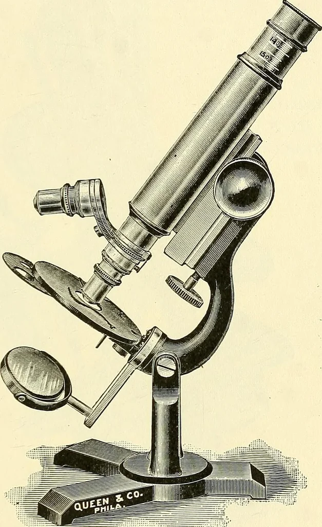 An illustration from The microscope; an introduction to microscopic methods and to histology, 1901, leaf 96
