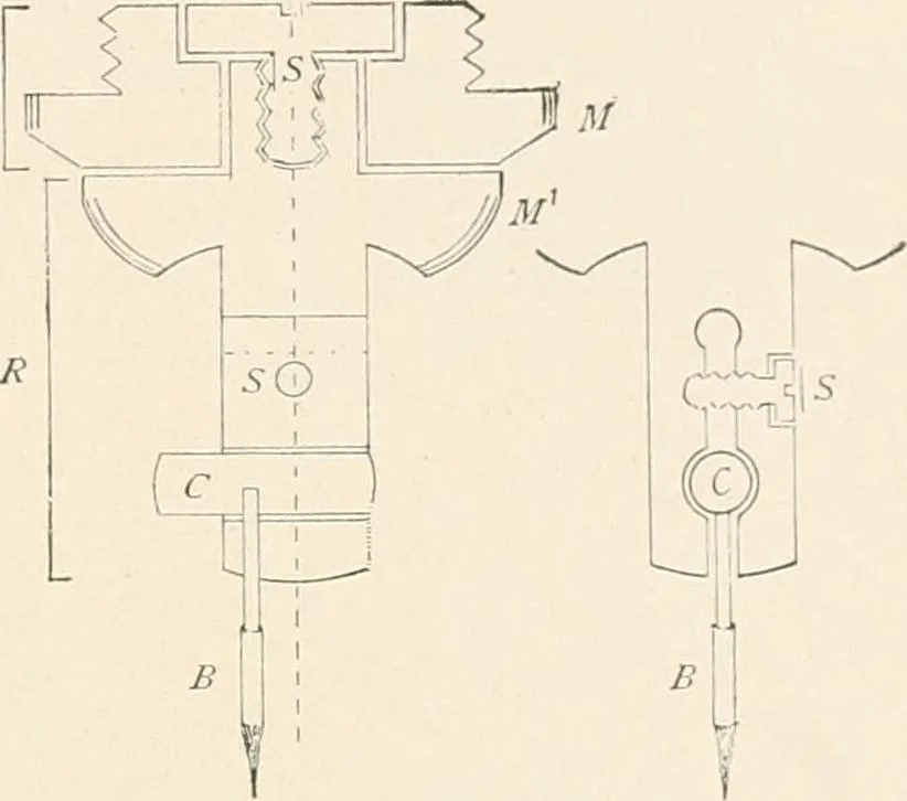 An illustration from The microscope : an introduction to microscopic methods and to histology, 1911, leaf 100