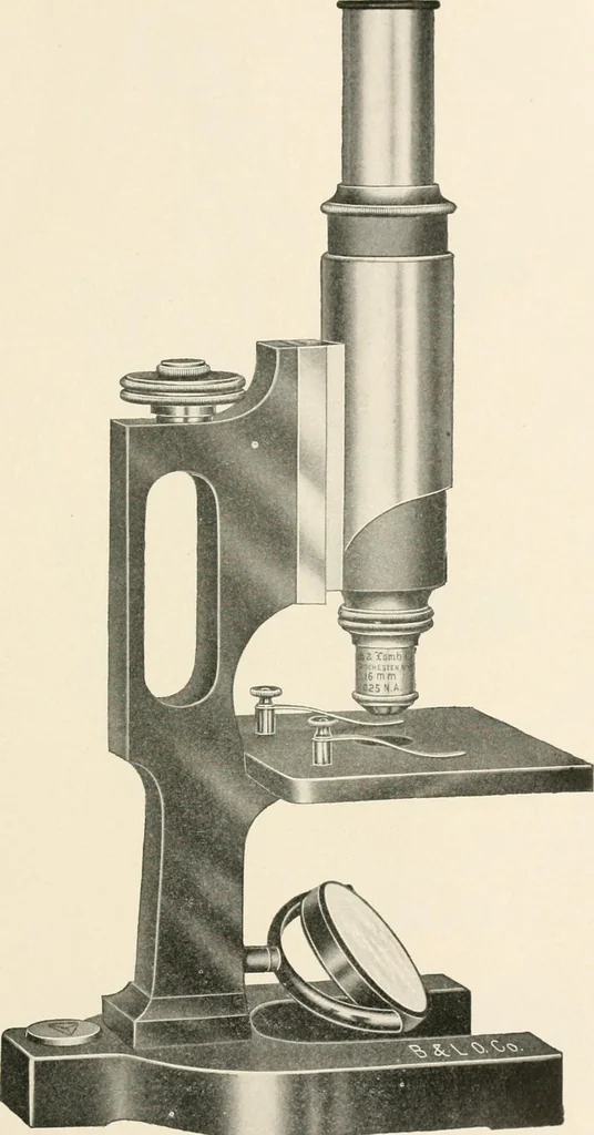 An illustration from The microscope : an introduction to microscopic methods and to histology, 1911, leaf 106
