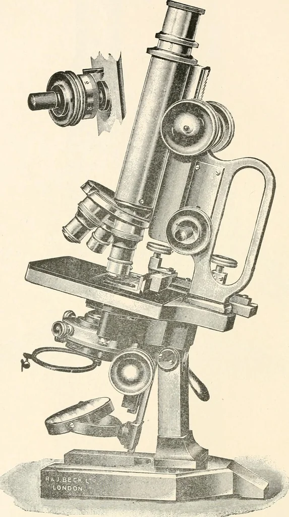 An illustration from The microscope : an introduction to microscopic methods and to histology, 1911, leaf 107