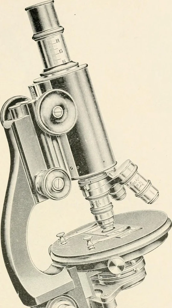 An illustration from The microscope : an introduction to microscopic methods and to histology, 1911, leaf 108