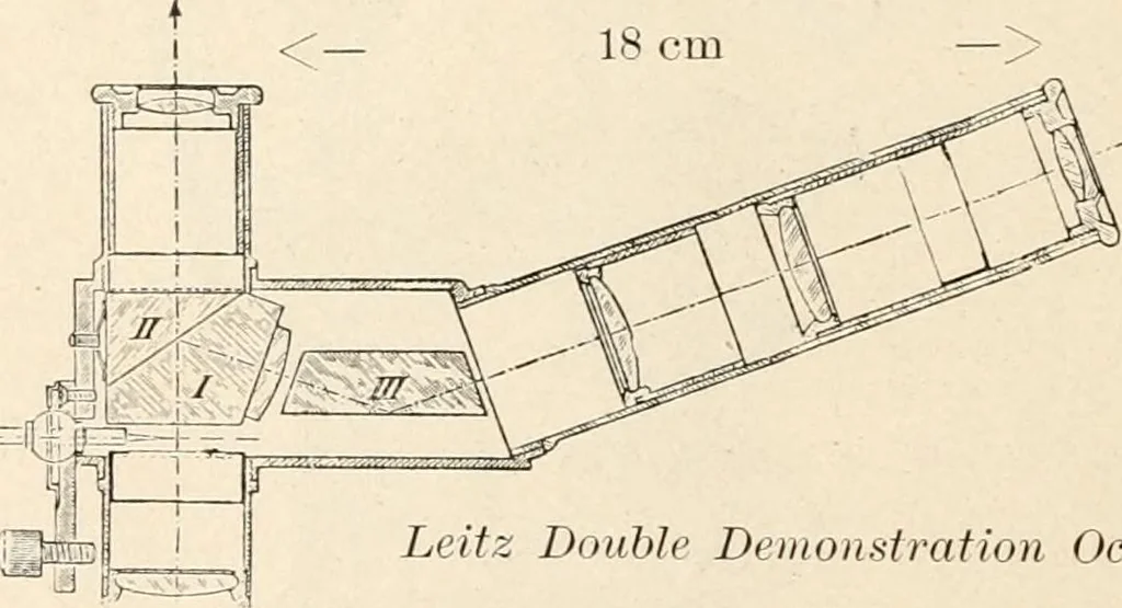 An illustration from The microscope : an introduction to microscopic methods and to histology, 1911, leaf 11