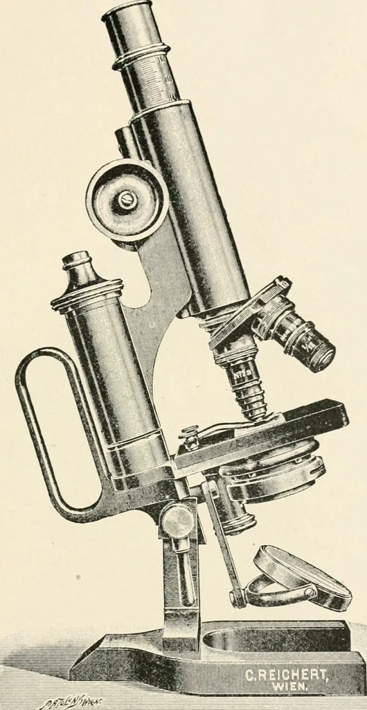 An illustration from The microscope : an introduction to microscopic methods and to histology, 1911, leaf 110