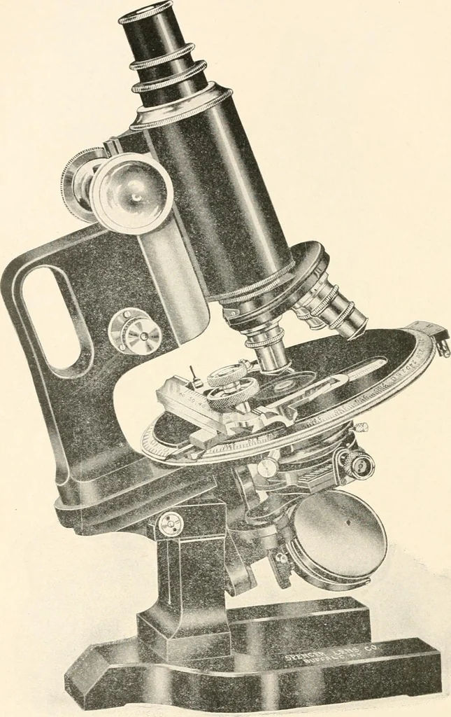 An illustration from The microscope : an introduction to microscopic methods and to histology, 1911, leaf 111