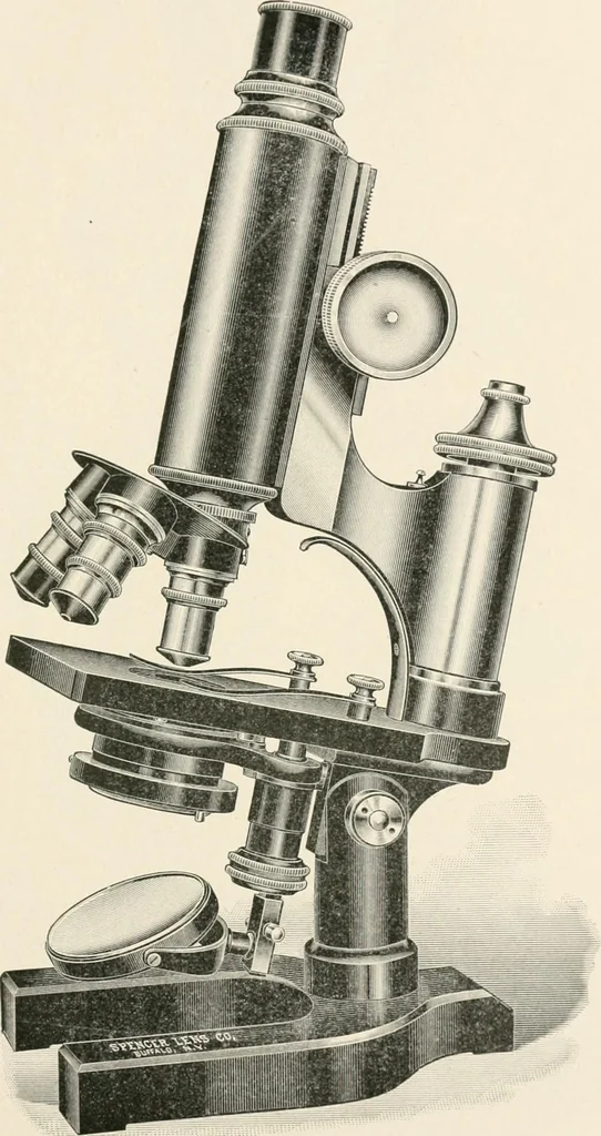 An illustration from The microscope : an introduction to microscopic methods and to histology, 1911, leaf 112