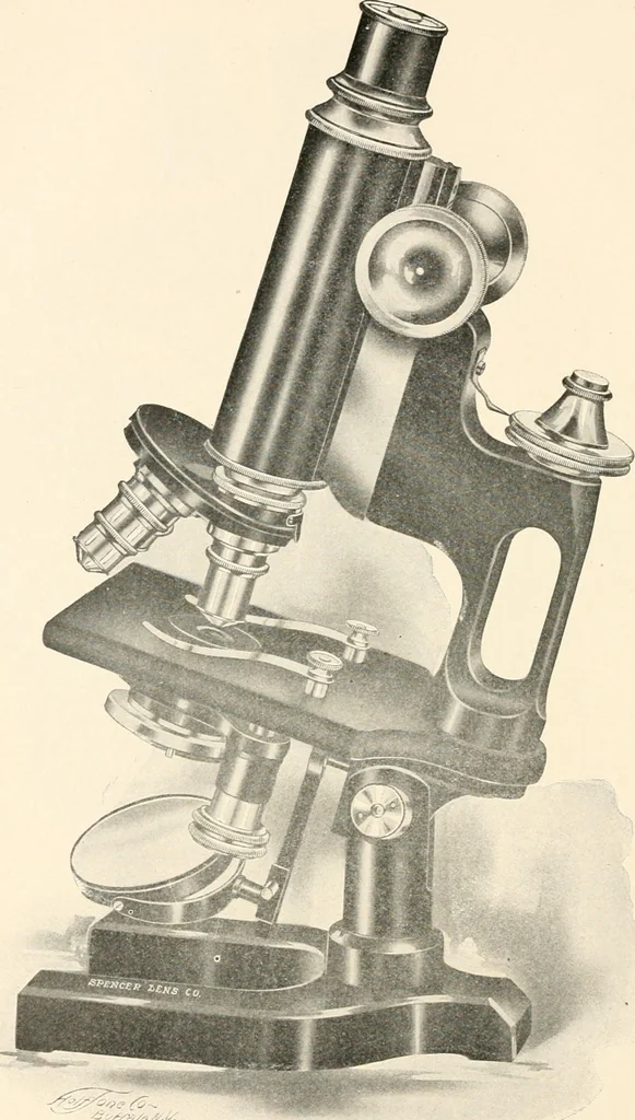 An illustration from The microscope : an introduction to microscopic methods and to histology, 1911, leaf 113