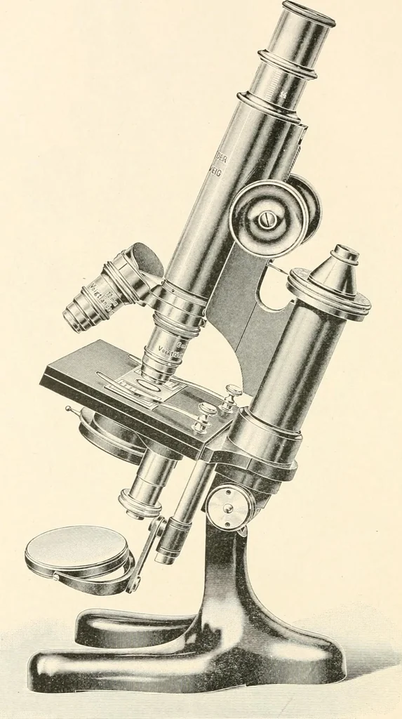 An illustration from The microscope : an introduction to microscopic methods and to histology, 1911, leaf 115