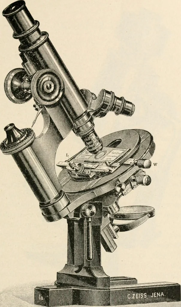 An illustration from The microscope : an introduction to microscopic methods and to histology, 1911, leaf 116