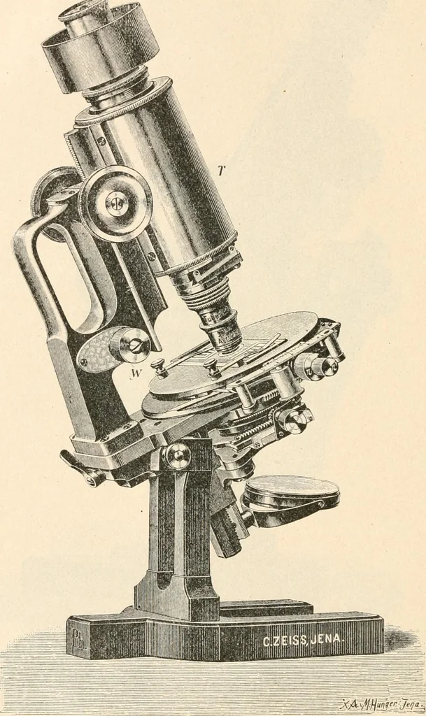 An illustration from The microscope : an introduction to microscopic methods and to histology, 1911, leaf 117