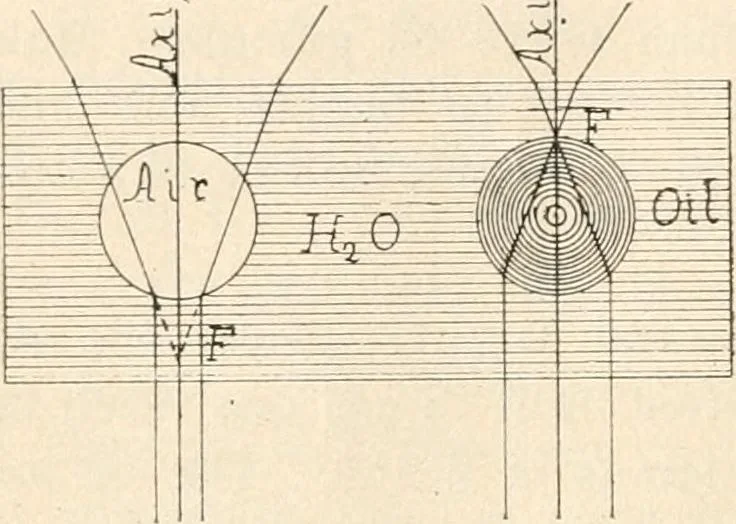 An illustration from The microscope : an introduction to microscopic methods and to histology, 1911, leaf 125