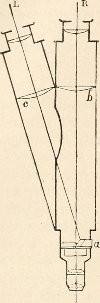 An illustration from The microscope : an introduction to microscopic methods and to histology, 1911, leaf 133