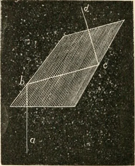 An illustration from The microscope : an introduction to microscopic methods and to histology, 1911, leaf 133