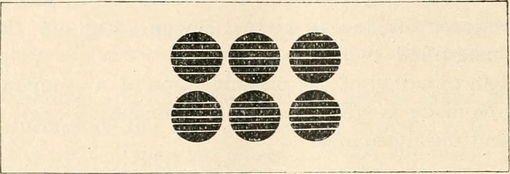 An illustration from The microscope : an introduction to microscopic methods and to histology, 1911, leaf 139
