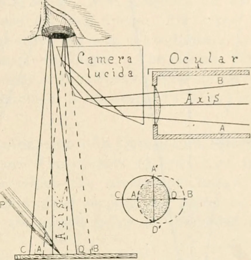 An illustration from The microscope : an introduction to microscopic methods and to histology, 1911, leaf 140