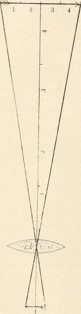An illustration from The microscope : an introduction to microscopic methods and to histology, 1911, leaf 141