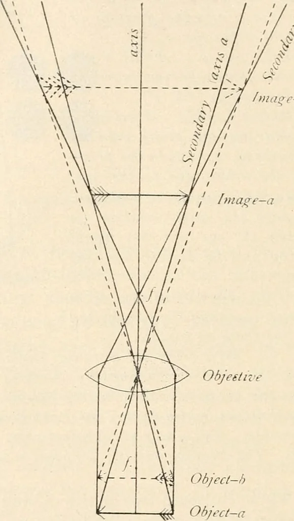 An illustration from The microscope : an introduction to microscopic methods and to histology, 1911, leaf 141
