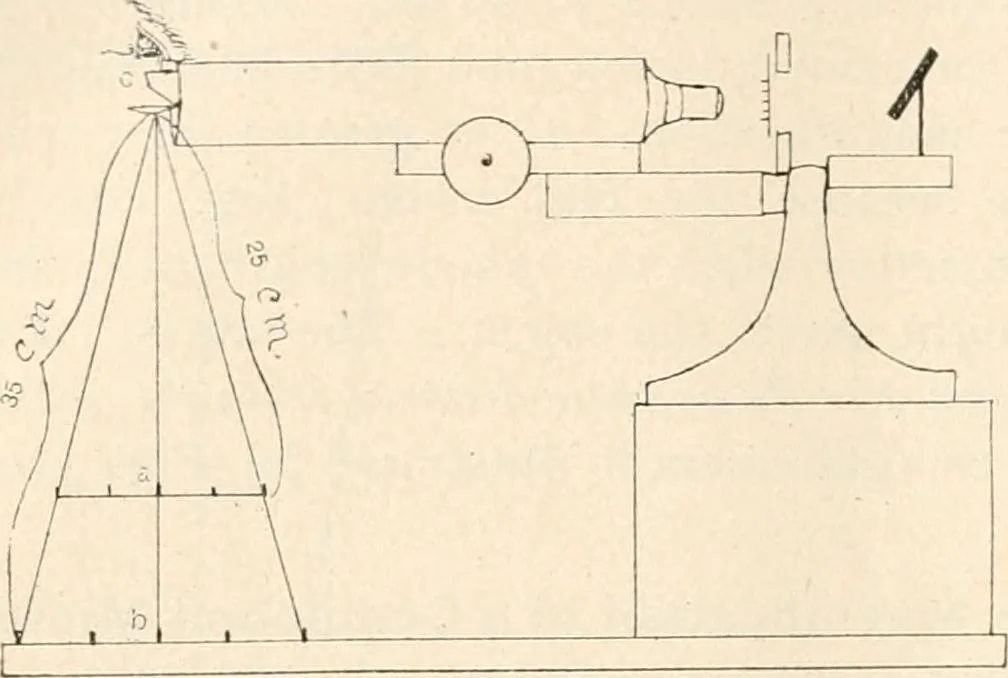 An illustration from The microscope : an introduction to microscopic methods and to histology, 1911, leaf 143