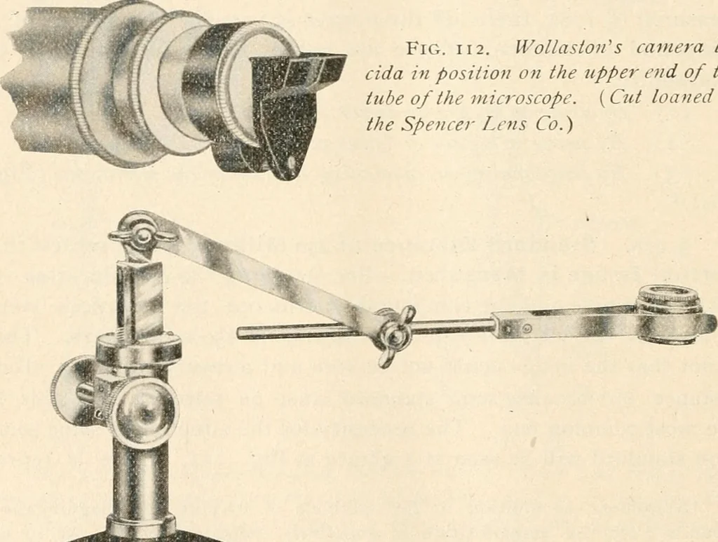 An illustration from The microscope : an introduction to microscopic methods and to histology, 1911, leaf 143