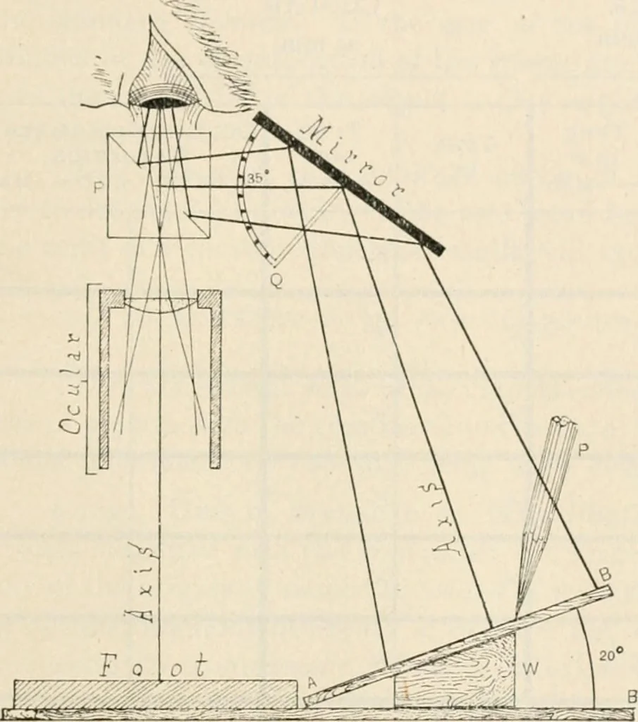 An illustration from The microscope : an introduction to microscopic methods and to histology, 1911, leaf 144