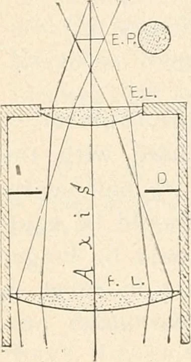 An illustration from The microscope : an introduction to microscopic methods and to histology, 1911, leaf 149