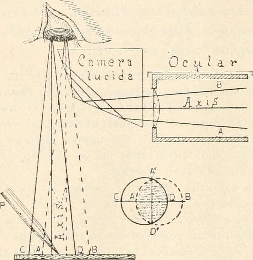 An illustration from The microscope : an introduction to microscopic methods and to histology, 1911, leaf 163