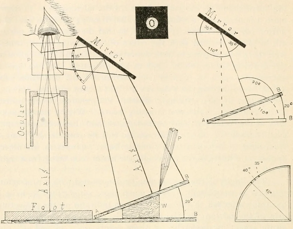 An illustration from The microscope : an introduction to microscopic methods and to histology, 1911, leaf 167