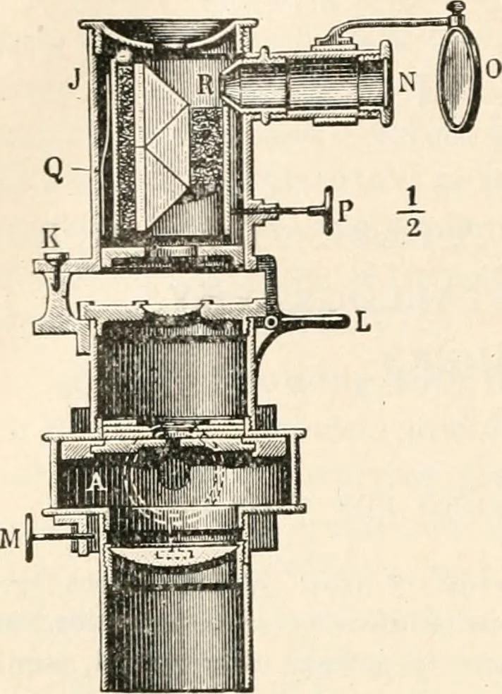 An illustration from The microscope : an introduction to microscopic methods and to histology, 1911, leaf 175