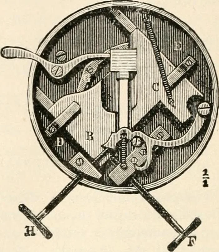 An illustration from The microscope : an introduction to microscopic methods and to histology, 1911, leaf 175