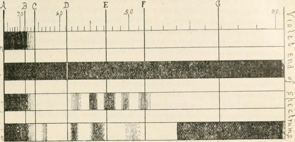 An illustration from The microscope : an introduction to microscopic methods and to histology, 1911, leaf 176