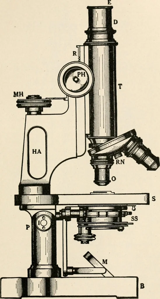 An illustration from The microscope : an introduction to microscopic methods and to histology, 1911, leaf 18
