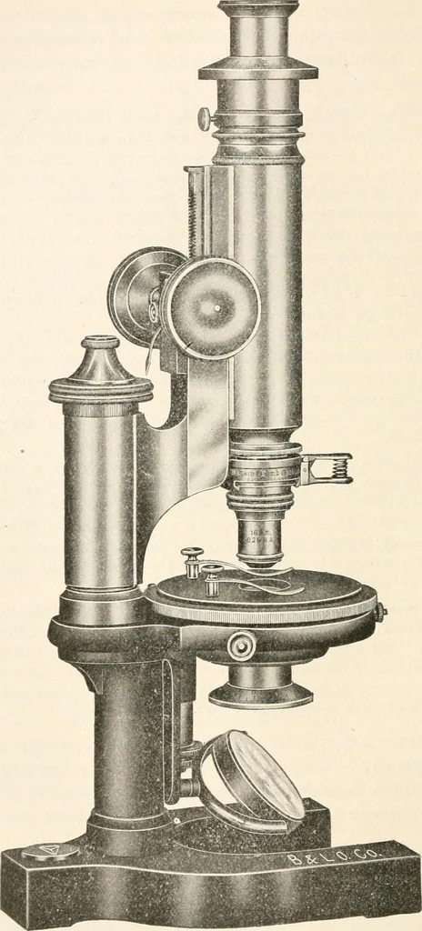 An illustration from The microscope : an introduction to microscopic methods and to histology, 1911, leaf 197
