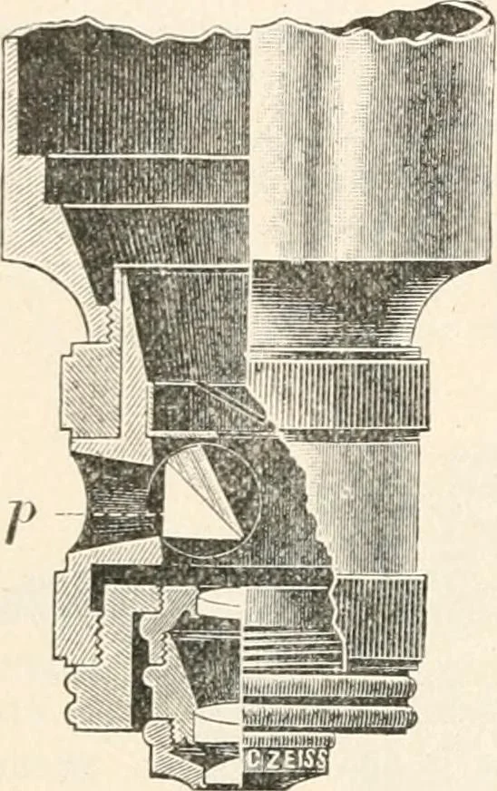 An illustration from The microscope : an introduction to microscopic methods and to histology, 1911, leaf 203