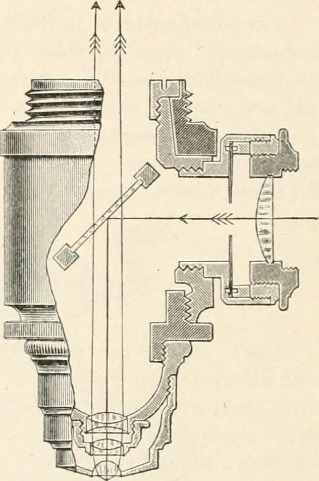 An illustration from The microscope : an introduction to microscopic methods and to histology, 1911, leaf 203