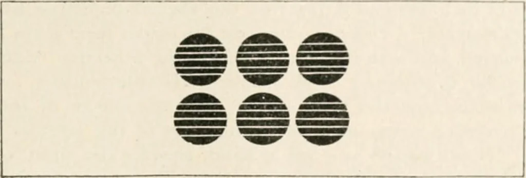 An illustration from The microscope : an introduction to microscopic methods and to histology, 1911, leaf 206